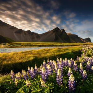 Island Naturwunder Outdoor Abenteuer